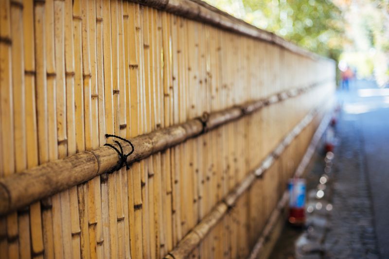Bamboo Privacy Screen